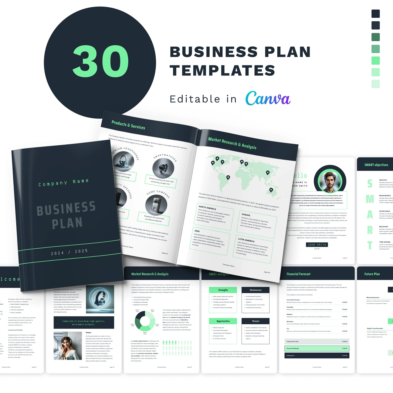 Business Plan Templates (Electronics)